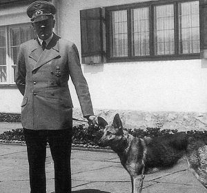 Famous Dogs : Blondi - Hitler's German Shepherd